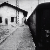 Beyond the shadows: Judy Glickman Lauder’s haunting photos from Auschwitz-Birkenau